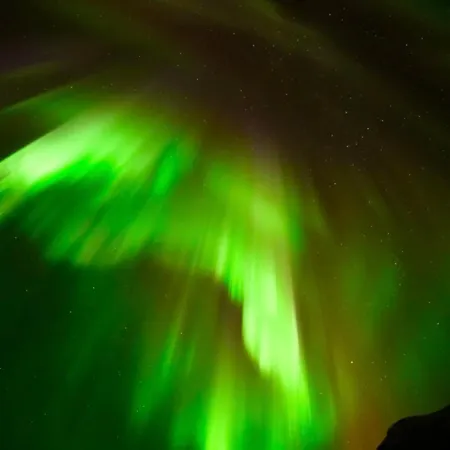 Experience Lejlighed Senja