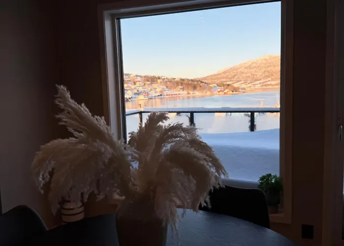 Experience Apartamento