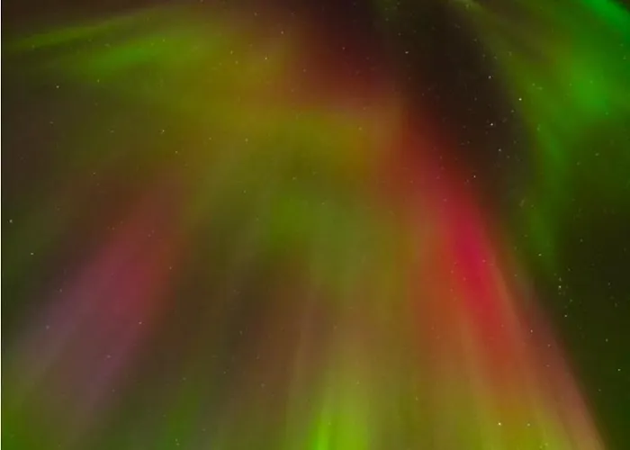 Experience * Senja