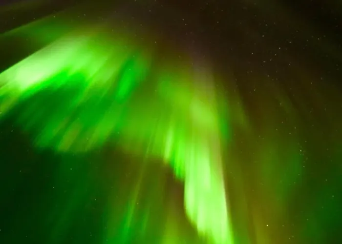 Experience Lägenhet Senja